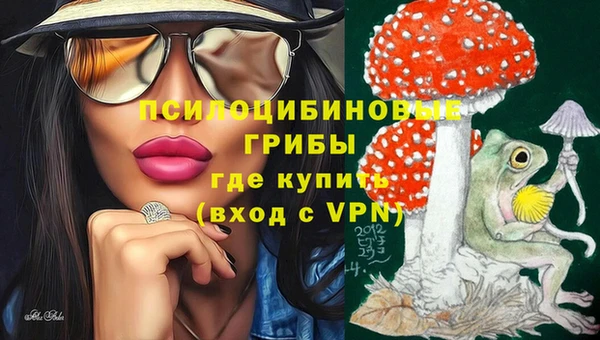 крисы Алексеевка