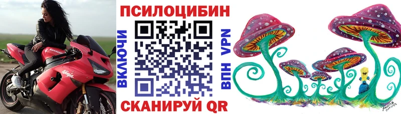 Галлюциногенные грибы мицелий  купить   Сафоново 