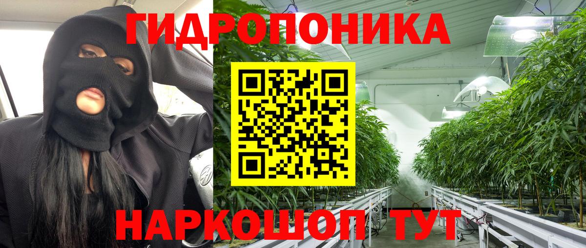 МАРИХУАНА конопля Сафоново